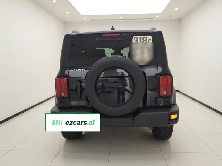 300 2021 Off-road 2.0T Conqueror photo 4