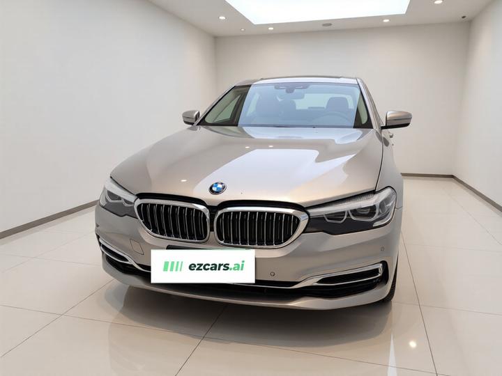 5 Series 2019 530Li Leading Luxury photo 2
