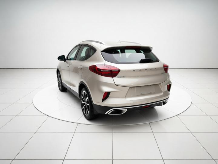 Emgrand GS 2020 1.4T CVT photo 4