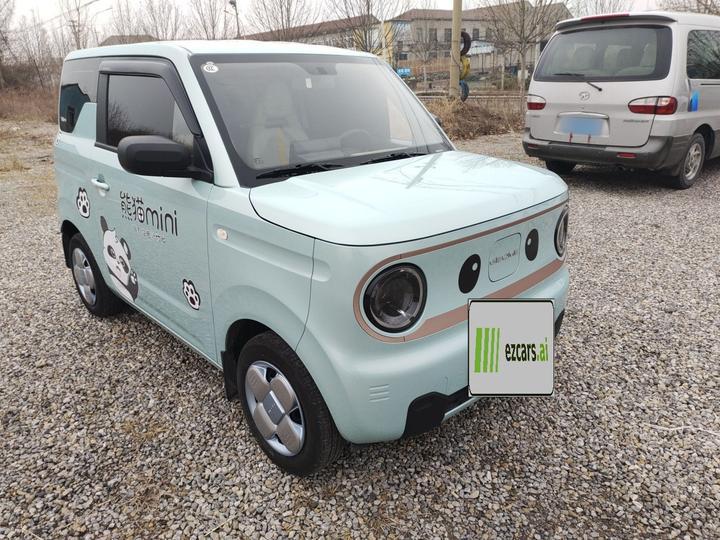 2024 Panda mini 200km Endurance Bear photo 5