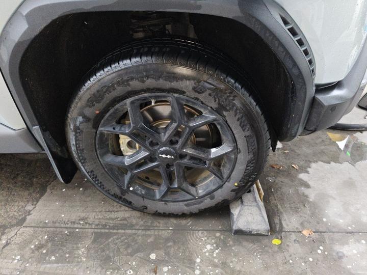 Fang Cheng Bao 3 2025 501KM RWD Max photo 8
