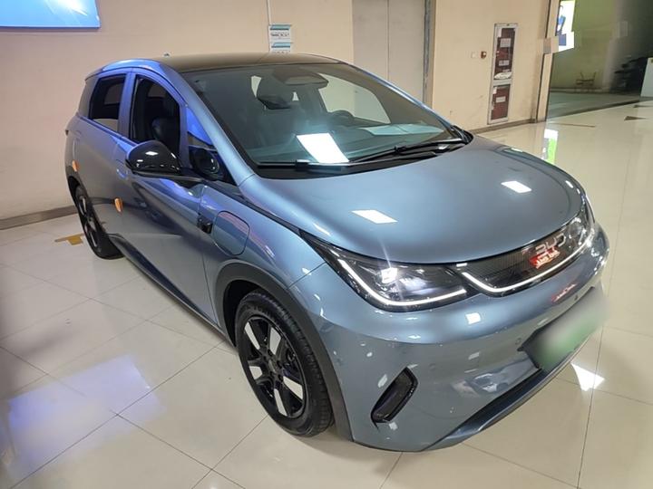 Dolphin 2025 ADAS 410km Fashion photo 3