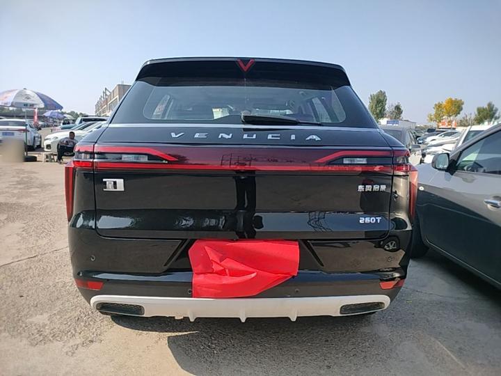 2020 260T AT 48V Mild Hybrid photo 5