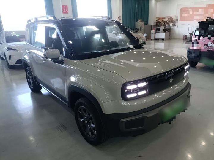 Plus 2026 301km Flagship photo 3