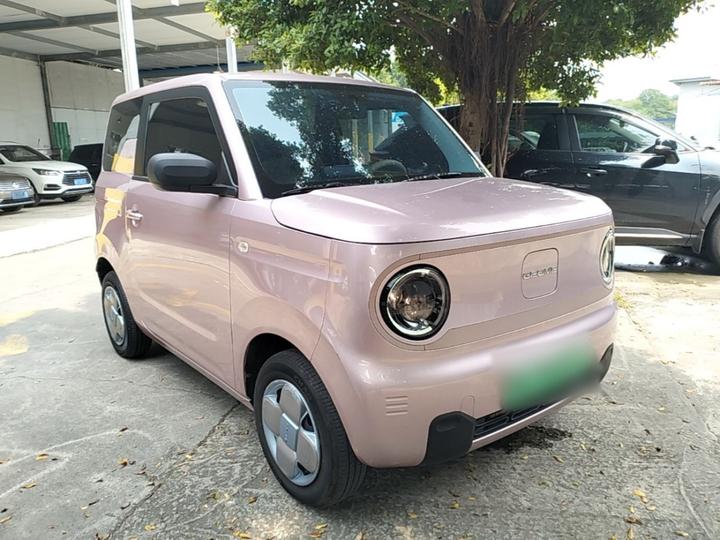 2023 Panda mini 200km Endurance Bear photo 3
