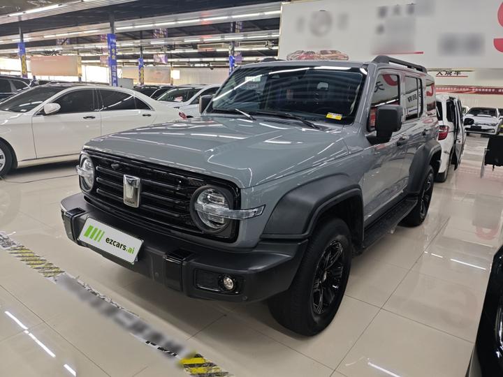 300 2021 Off-road 2.0T Conqueror