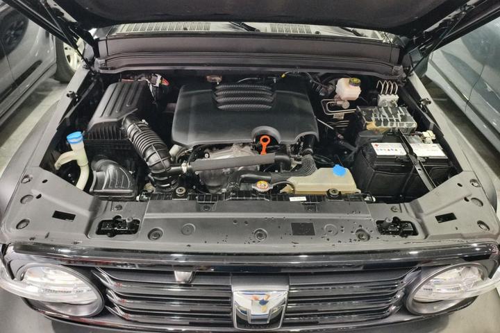 300 2021 Off-road 2.0T photo 6