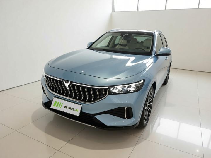 Voyah FREE 2021 AWD Standard EREV Luxury