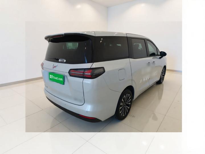 730 EV 2025 125km Luxury photo 6