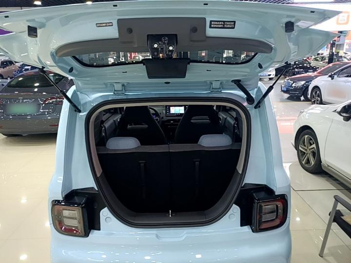 2023 Panda mini 200km Endurance Bear photo 8