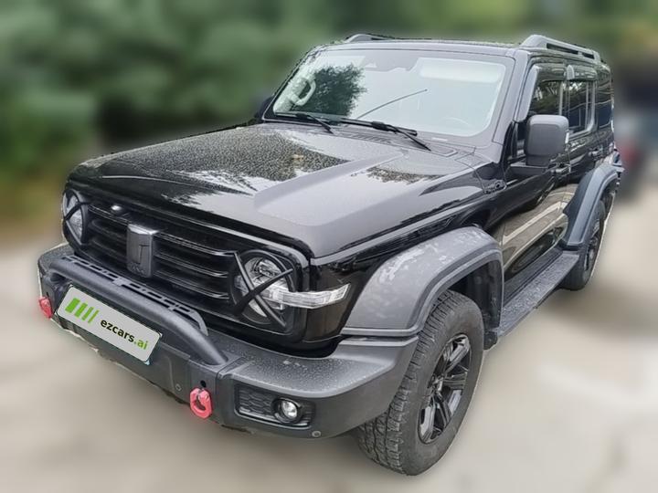 300 2021 Off-road 2.0T