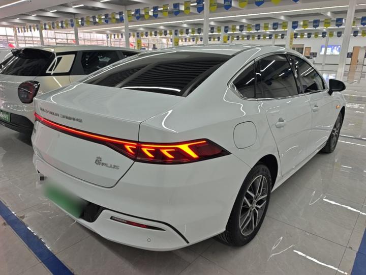 Qin PLUS 2024 Honor EV 420KM photo 6