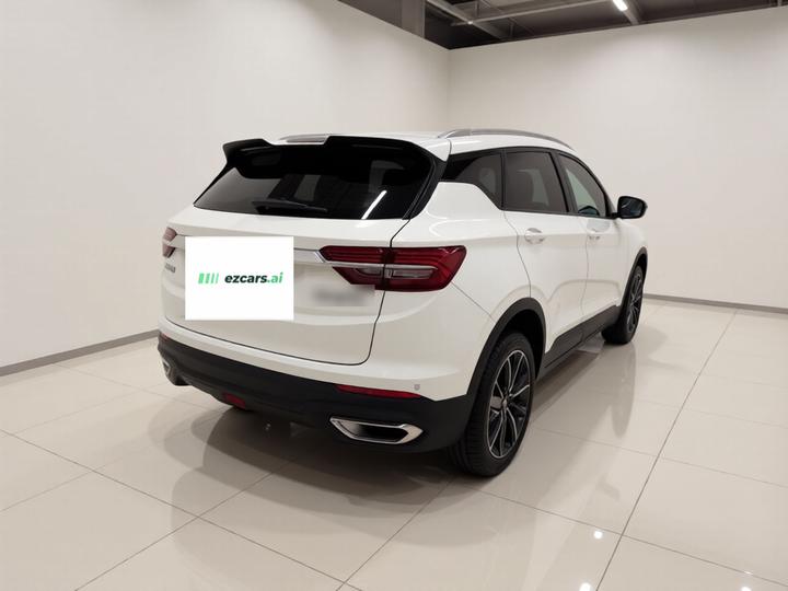 Binyue EV 2020 1.5T ePro Higher photo 6