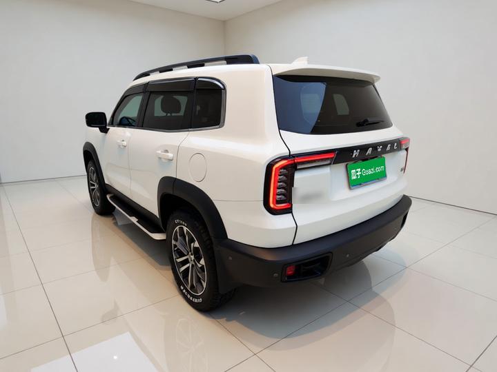 Dargo 2021 Facelift 1.5T DCT RWD photo 4