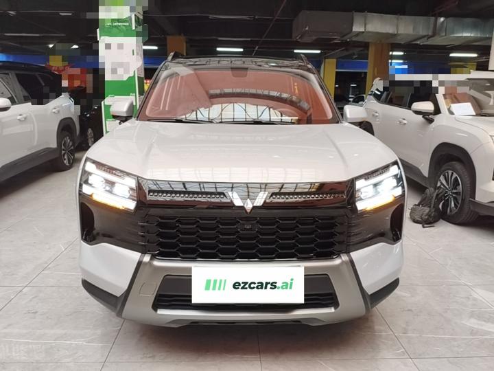 560 EV 2026 125km Luxury photo 2