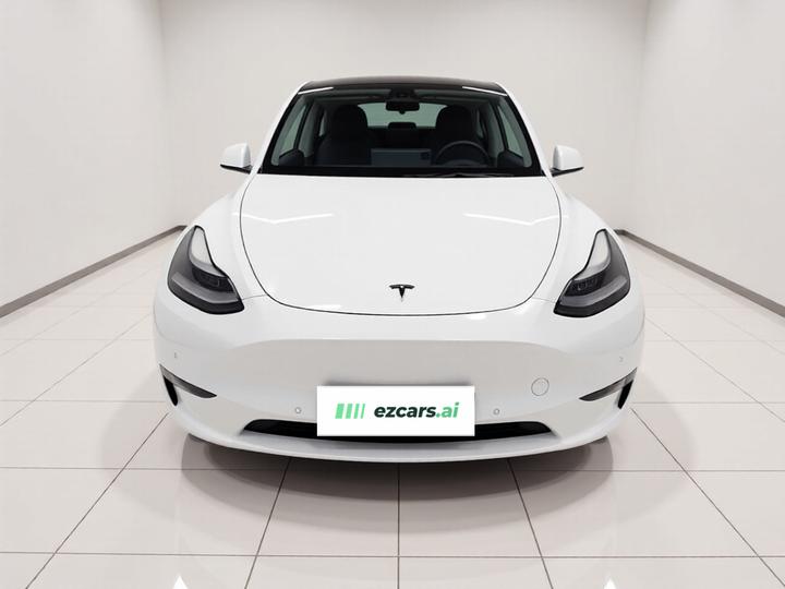 Model Y 2021 Long Range AWD 3D7 photo 2