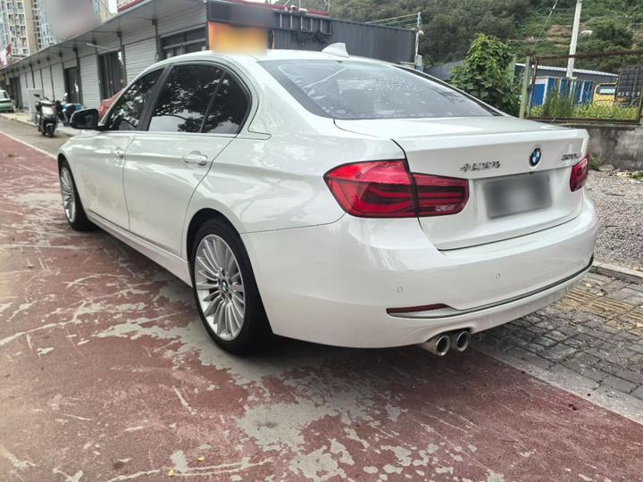 3 Series 2018 320Li Fashion photo 4