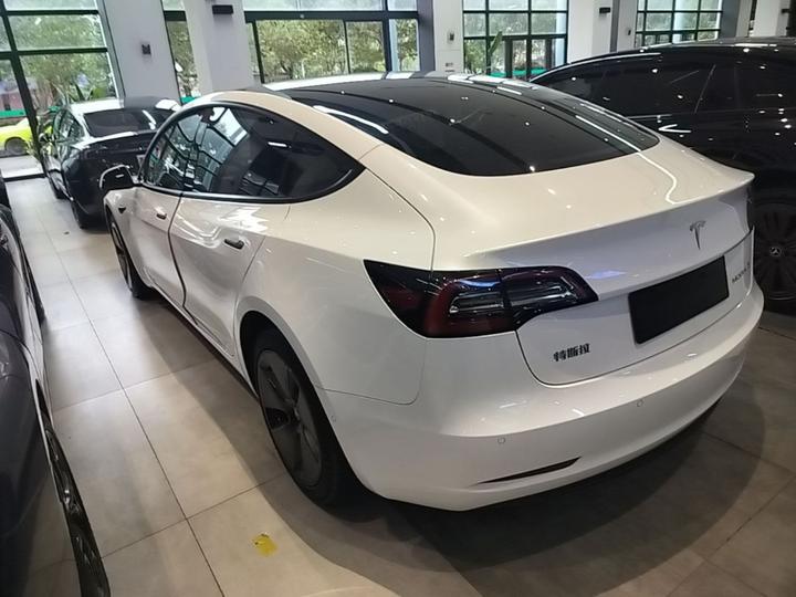 Model 3 2022 RWD photo 4