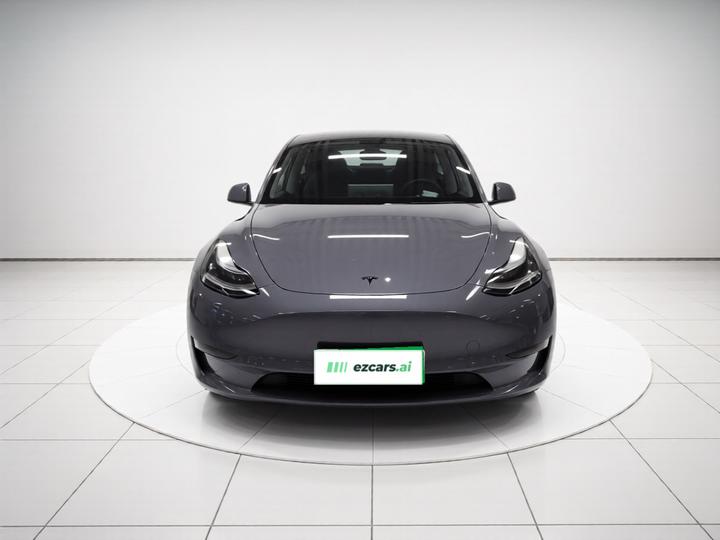Model Y 2021 Long Range AWD photo 2