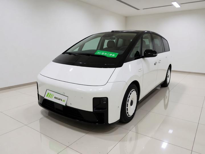 Li MEGA 2025 Home Family Special