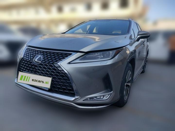 RX 2020 300 RWD Elite China VI