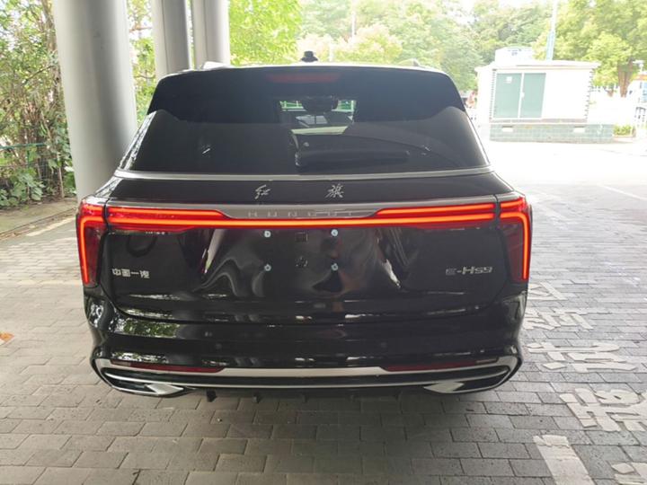 E-HS9 2022 690km 6-Seater photo 3