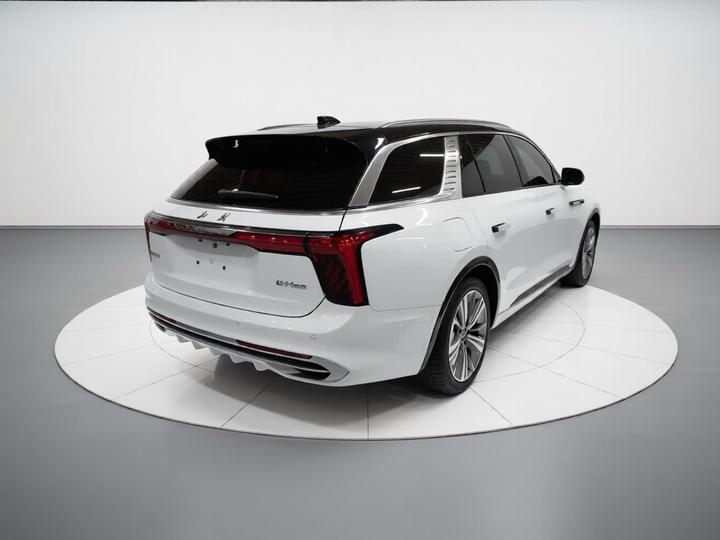 E-HS9 2022 660km 6-Seater photo 4