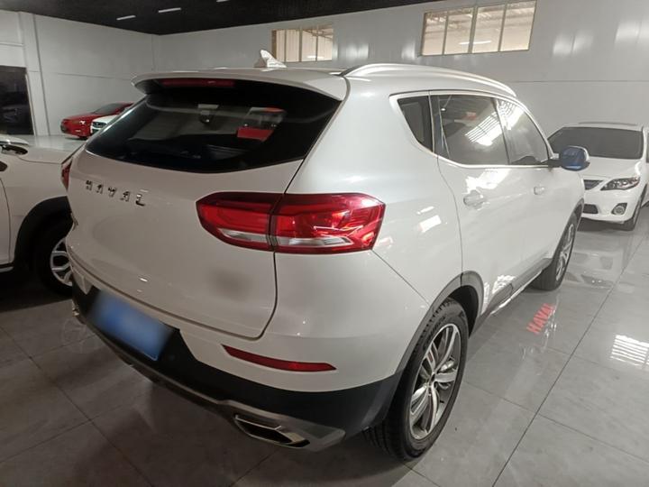 H6 2017 Red Label 2.0T AT RWD photo 6