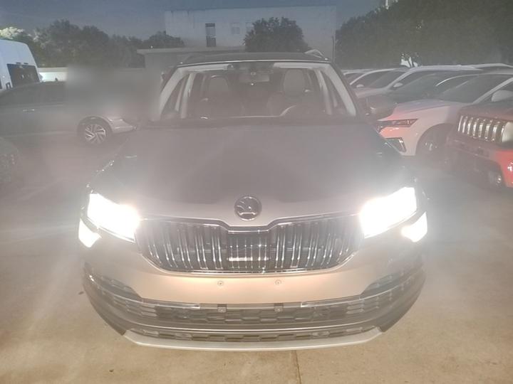Karoq 2021 TSI280 Luxury photo 2