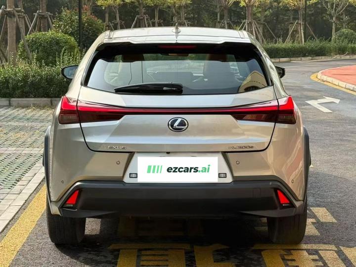 UX EV 2020 300e photo 5