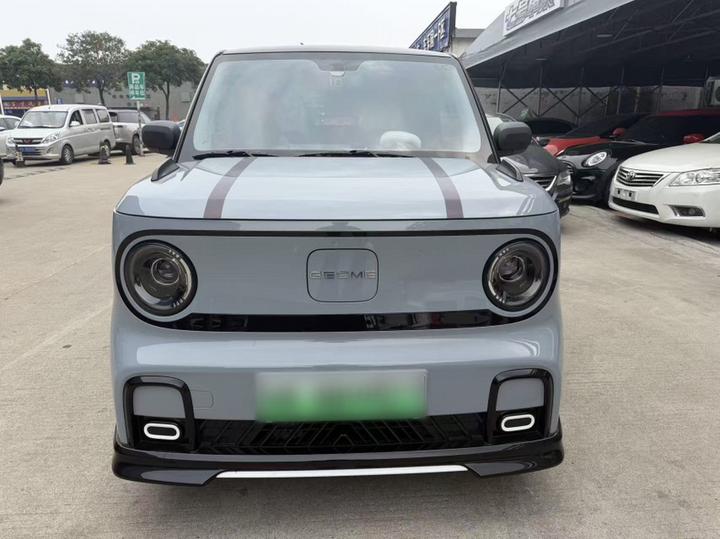 2025 210km Panda photo 2