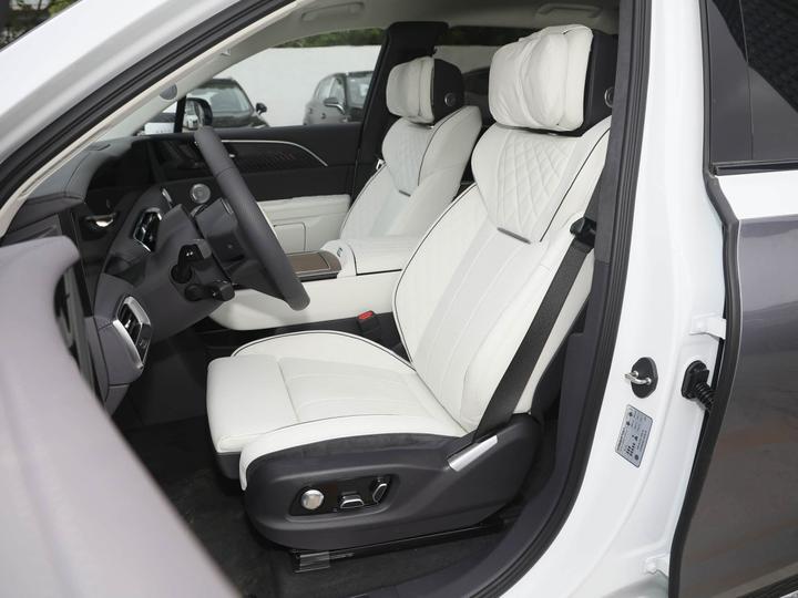 E-HS9 2025 660km 4-Seater photo 8