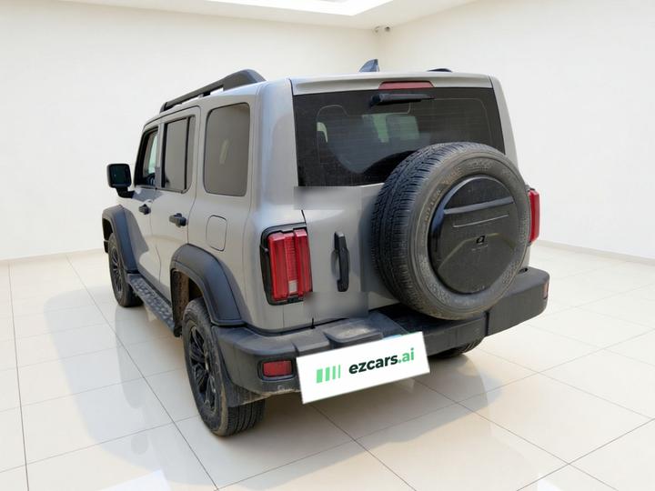 300 2021 Off-road 2.0T Conqueror photo 4