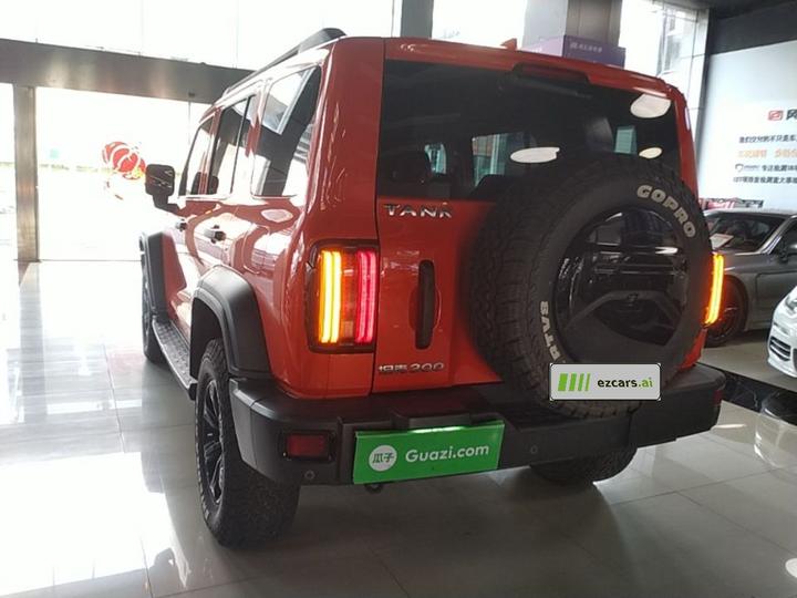 300 2021 Off-road 2.0T Conqueror photo 4