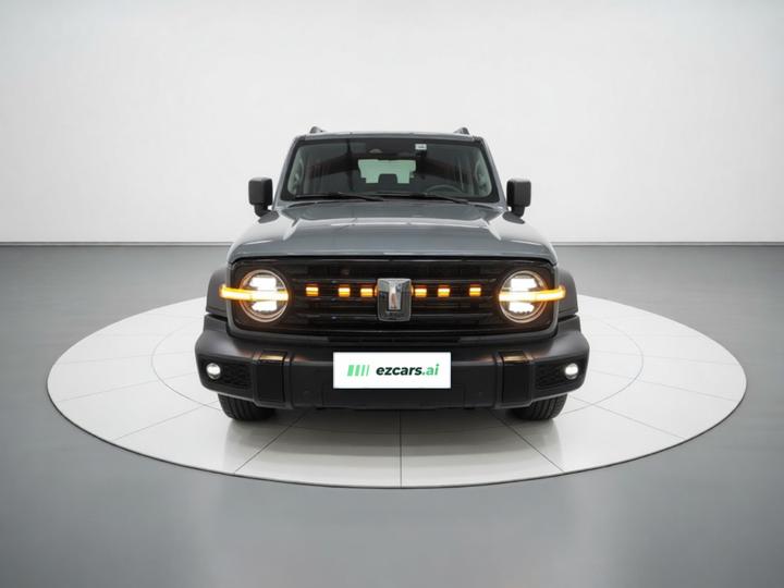 300 2023 Off-road 2.0T Conqueror photo 2