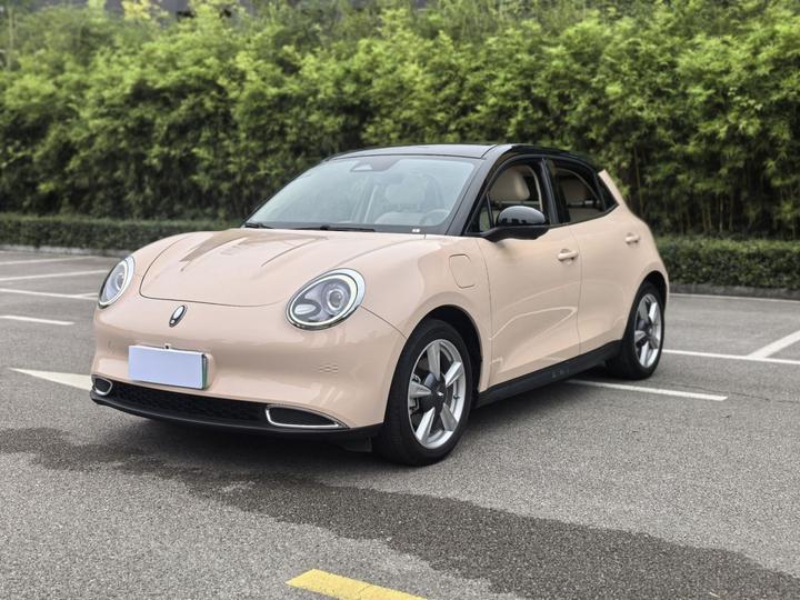 Good Cat 2022 400km Standard Range Luxury LFP