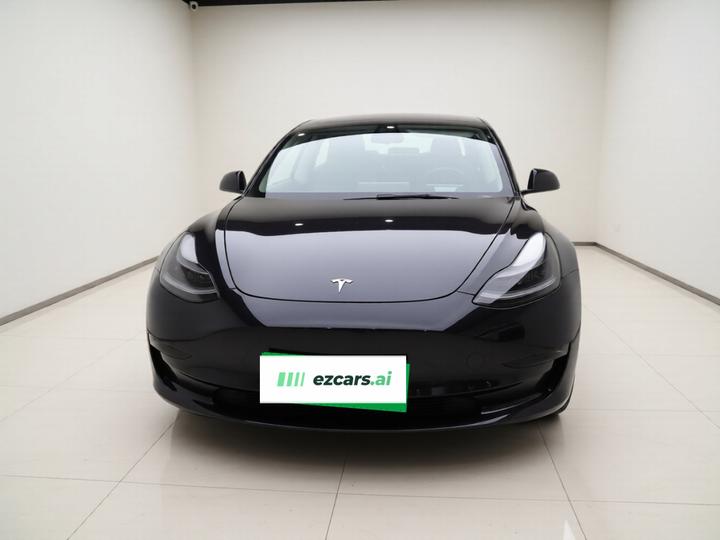 Model 3 2021 Facelift Performance AWD photo 2