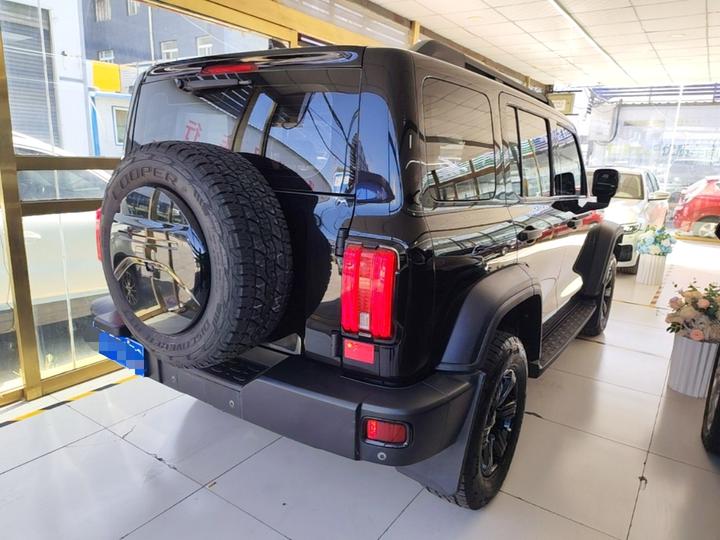 300 2021 Off-road 2.0T Conqueror photo 6