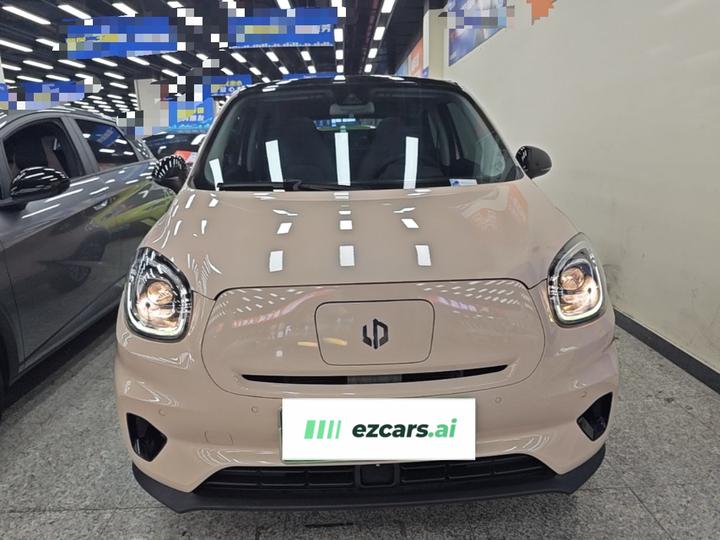 Leapmotor T03 2021 400 Luxury photo 2