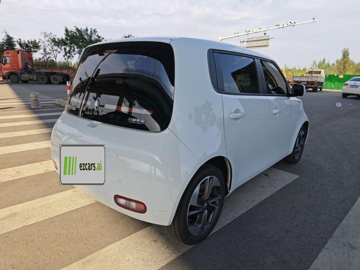 2022 Upgraded 305km Luxury NCM photo 4