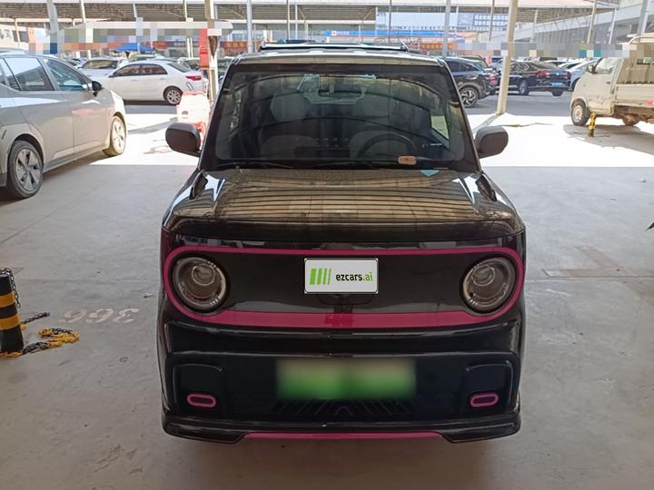 2025 210km Panda photo 2
