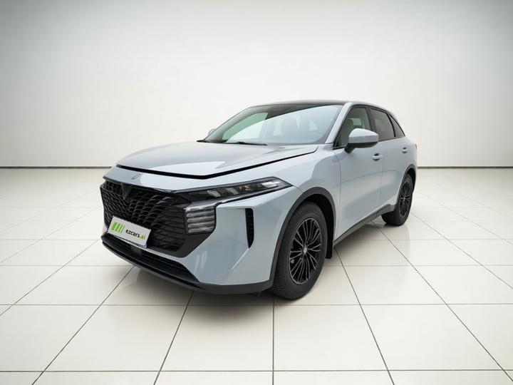 V 2021 260T