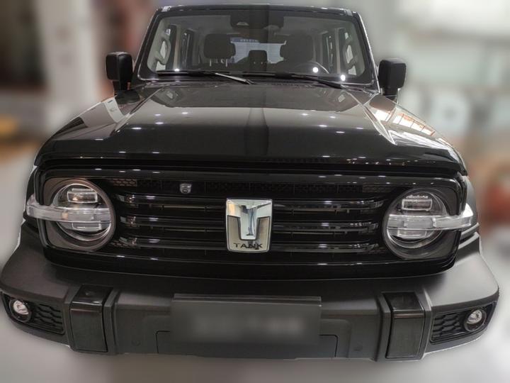 300 2021 Off-road 2.0T Conqueror photo 2