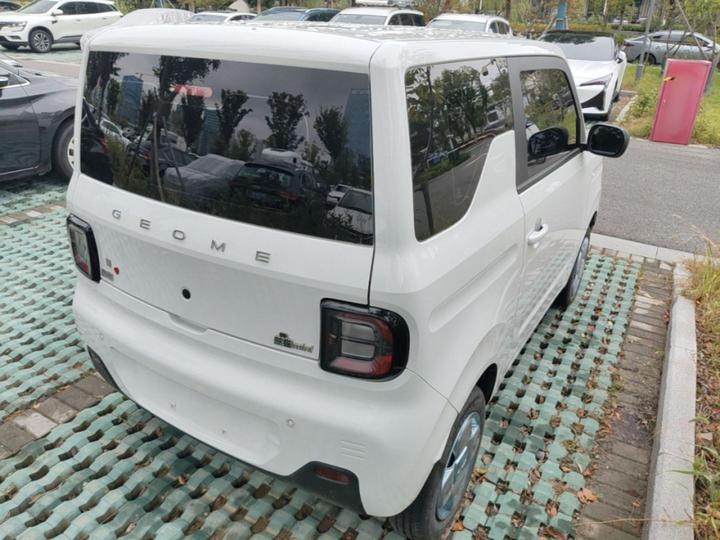 2024 Panda mini 200km Endurance Bear photo 4