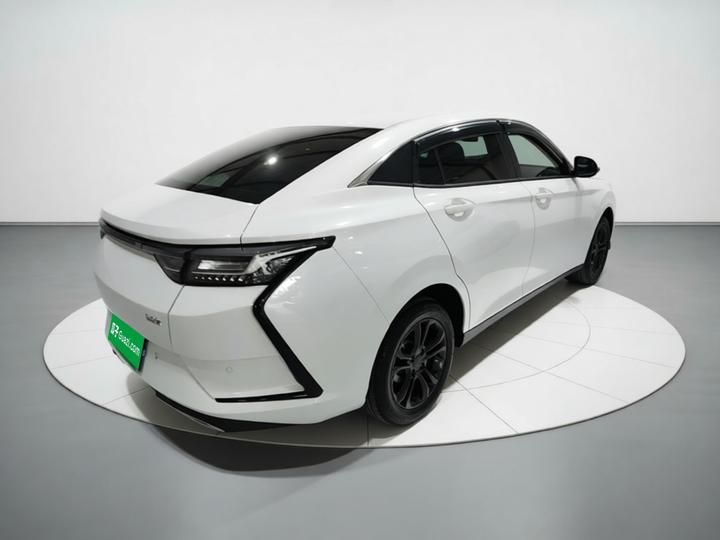 Yixuan 2025 1.5L AT Luxury photo 6