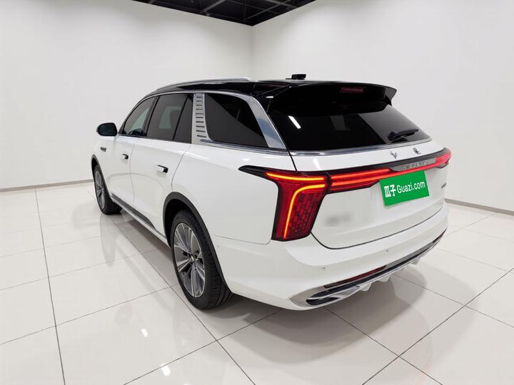 E-HS9 2022 690km 6-Seater photo 4