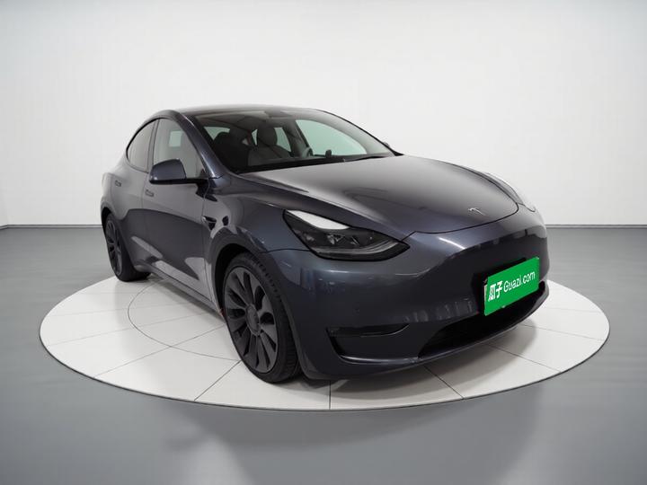 Model Y 2021 Performance AWD photo 3