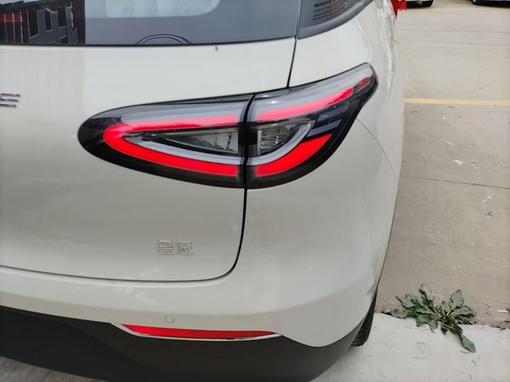 Xingyuan 2026 310km photo 7