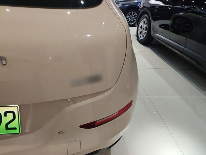Good Cat 2023 401km Standard Range Premium LFP photo 7