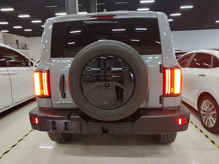 300 2021 Off-road 2.0T Conqueror photo 5